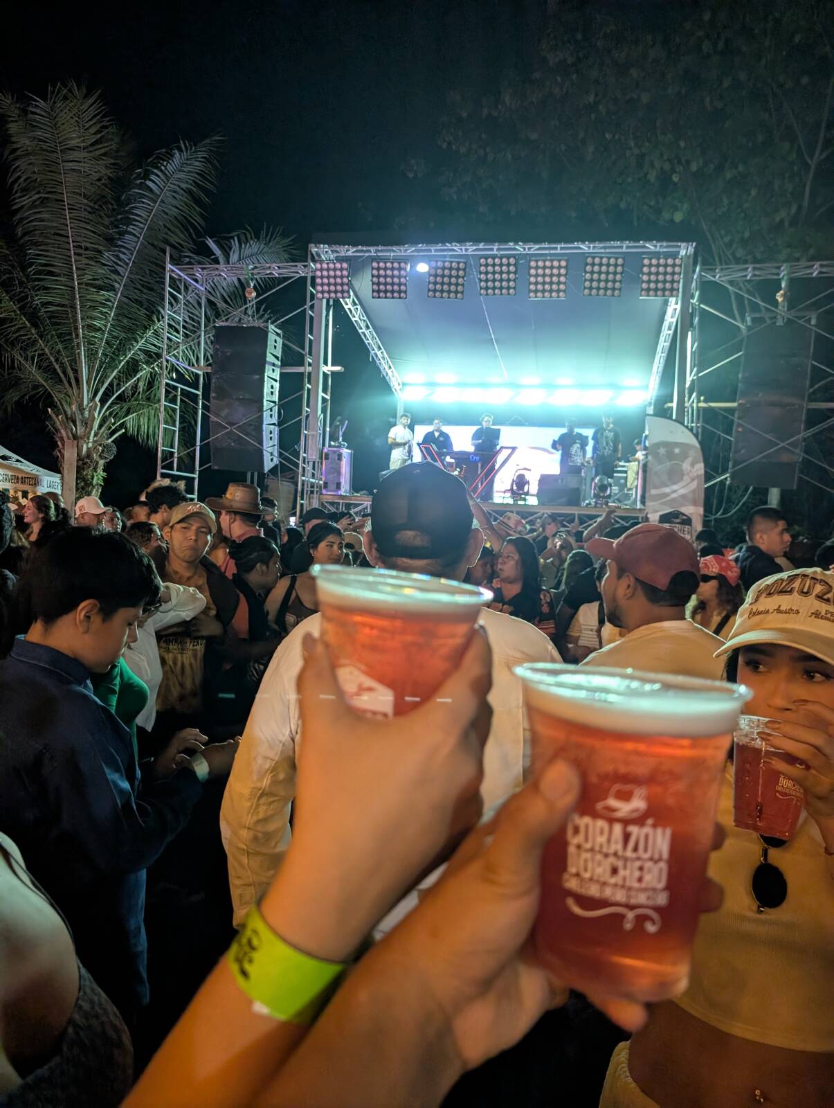 Foto de Pozuzo Fest 2026 subida por Abel